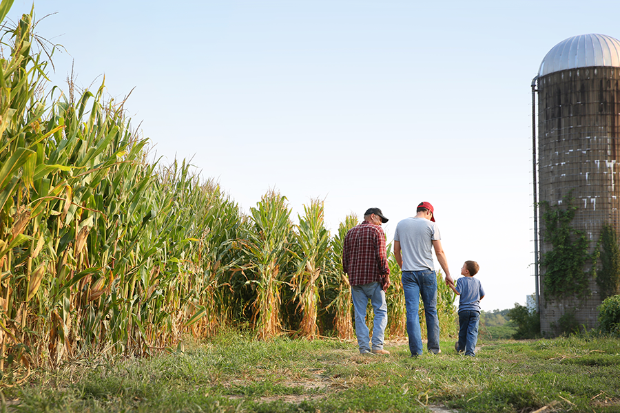 family in field